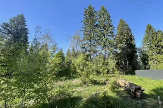 Земельный участок