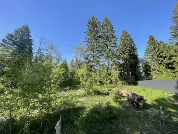 <span style="font-weight: bold;">Участок 10 сот. (ИЖС)</span>